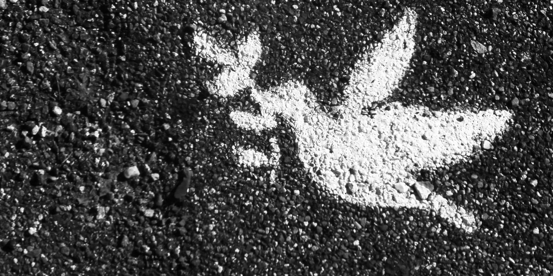 Blaue Friedenstaube als Grafik auf weißer Wand Weiße Friedenstaube als Grafik auf Straße